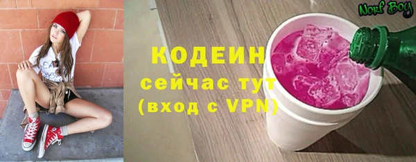 шишки Киренск