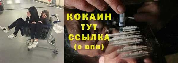 spice Карпинск