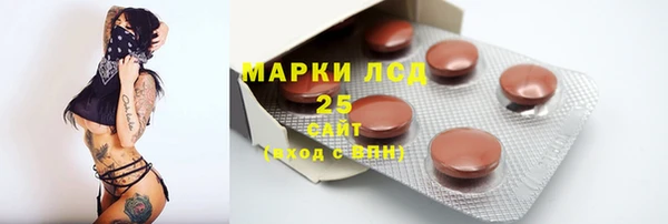 spice Карпинск