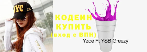 шишки Киренск