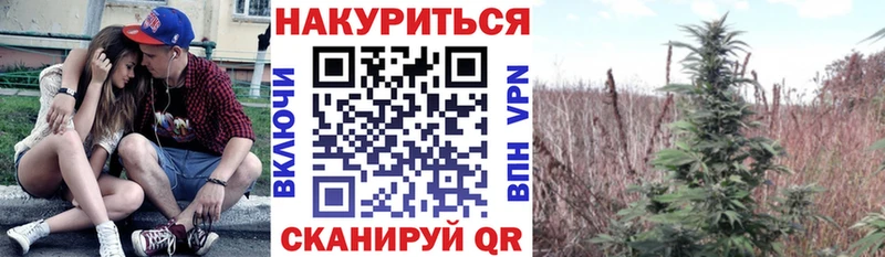Каннабис OG Kush  Купить закладки  Владивосток 